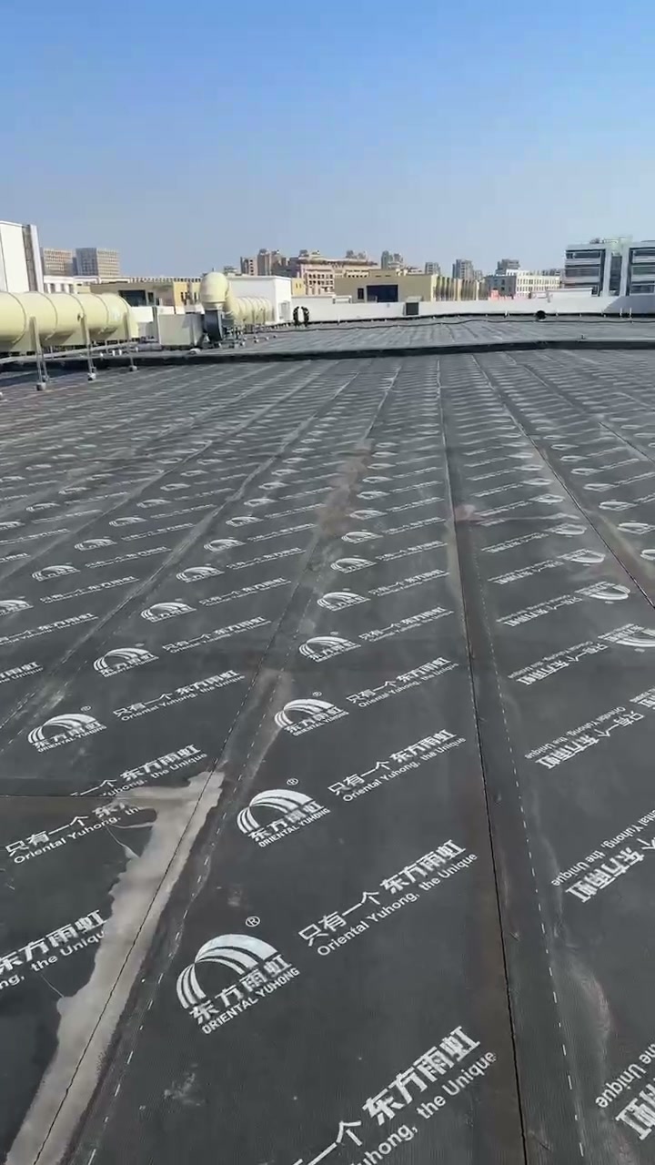 上海普陀区万里真金苑阳光房防水施工后效果（第2张）